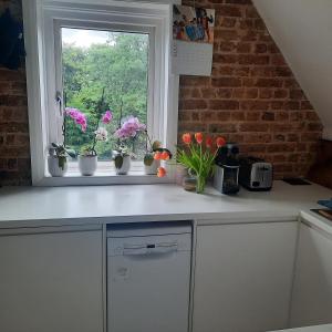 Beautiful flat, 30 min away from central London