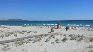 Appartamenti Fronte Mare