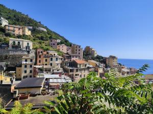 Riomaggiore 5 Terre appartamento i Fenicotteri