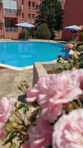 Studio in Sunny day 6 complex