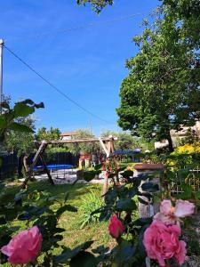 La casa di Memy Bed & Breakfast img36