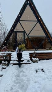 Cottage Milu კოტეჯი მილუ