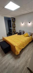 Appartements Agreable T2 50m2 : photos des chambres