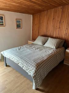 Maisons de vacances Gite Le Grand Chene : photos des chambres
