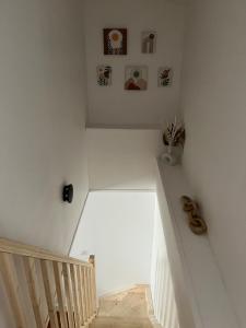 Maisons de vacances Gite Le Grand Chene : photos des chambres