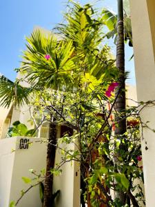 LOU Uluwatu - Luxury Tropical Living