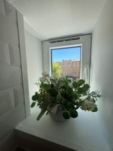 Appartements Le Ptit St Pierre Centre ville BY PRIMO C0NCIERGERIE : photos des chambres