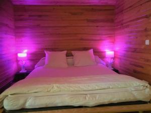 Villas MAISON AVEC MAGNIFIQUE JARDIN LANDES Lit et mixe : photos des chambres