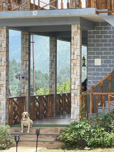 Cortland Jungle Resort