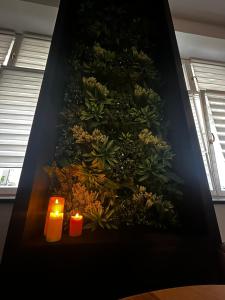 Vintage Bracka Loft Apartment