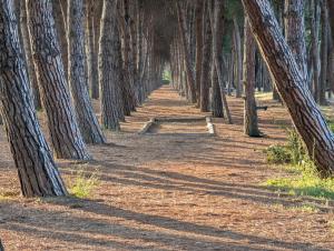 Casa vacanza - Villa Dalila