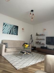 Apartment in VIP Club Dolphin