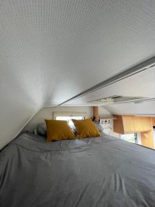 The Cosy Camper at Rockfield Park