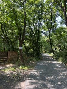 Red Stone Apartman Kővágóörs-Pálköve egész évben - 200m a Balaton parttól kilátással- kutya barát