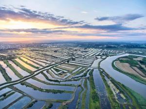 Maisons de vacances Pomme de pins : photos des chambres