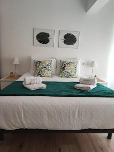 Carrera Houses Antela