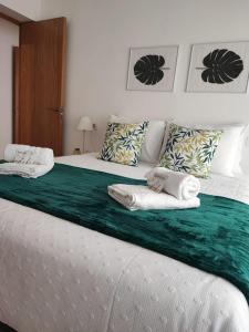 Carrera Houses Antela