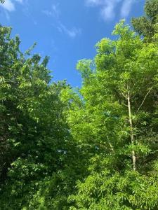 Harpenden Rooms free parking available on street