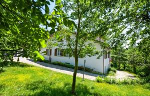 Villa Glicine Casa Vacanze con Piscina e Camino ad Apecchio, Marche