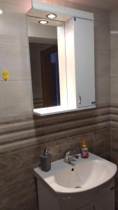 Apartman Radenkovic