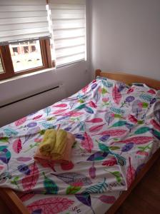 Apartman Radenkovic