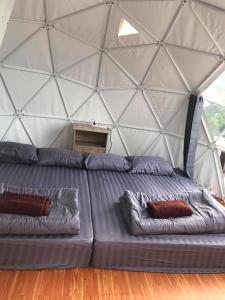 กรีนโซน แคมป์ปิ้ง