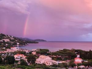 Le Lavandou T2 4 pers, terrasse vue mer - FR-1-803-36