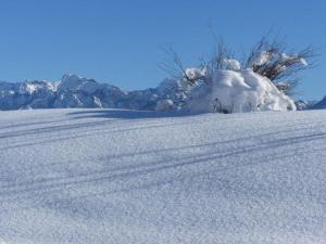 Allgaeuer-Landhaus-Stocker