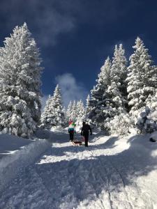 Allgaeuer-Landhaus-Stocker