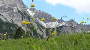 Allgaeuer-Landhaus-Stocker