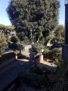 Casa Dany Anzio zona Santa Teresa