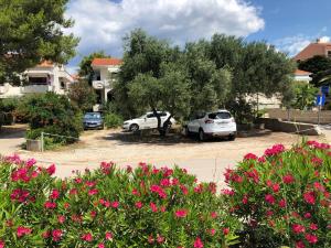 Adriatic House