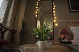 Luxury Apartment Near Pari Chowk