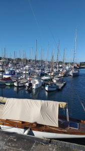 Appartements L-Armor : photos des chambres