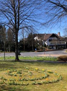 Ferienwohnung Schlosspark