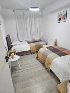 Modern Comfort Spot Apartments