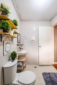 My Home in Baguio City