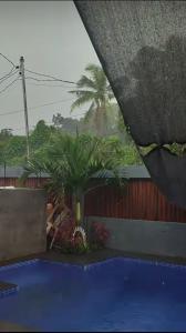 Guesthouse with Luxury feels