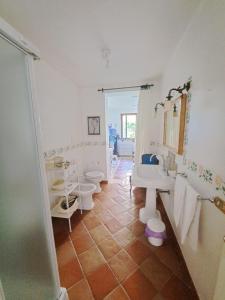 Daphne Experience - Home, Harmony and Garden