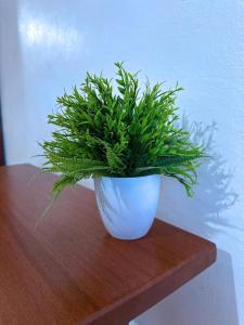 Lakeside Two Bedroom Penthouses