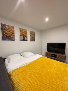 Appartements Chez Cricri, modern accommodation : photos des chambres