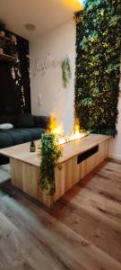 Appartements Jungle Room - Sauna, Jacuzzi, Cinema - Hyper Centre : photos des chambres