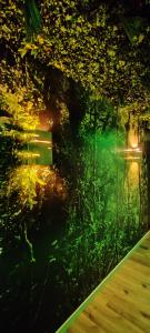 Appartements Jungle Room - Sauna, Jacuzzi, Cinema - Hyper Centre : photos des chambres