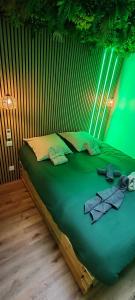 Appartements Jungle Room - Sauna, Jacuzzi, Cinema - Hyper Centre : photos des chambres