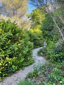 B&B / Chambres d'hotes Les Loriots - Studio independant, refuge nature entre Aix et Marseille : photos des chambres