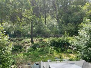 Les Loriots - Studio indépendant, refuge nature entre Aix et Marseille