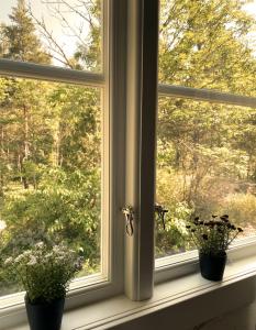 Ferienhaus Grimsebo in idyllischer Alleinlage - Natur pur!