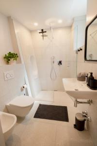 Apartment Merano Mitte