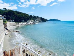 Studio - La baie des anges