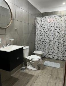 Junín departamento